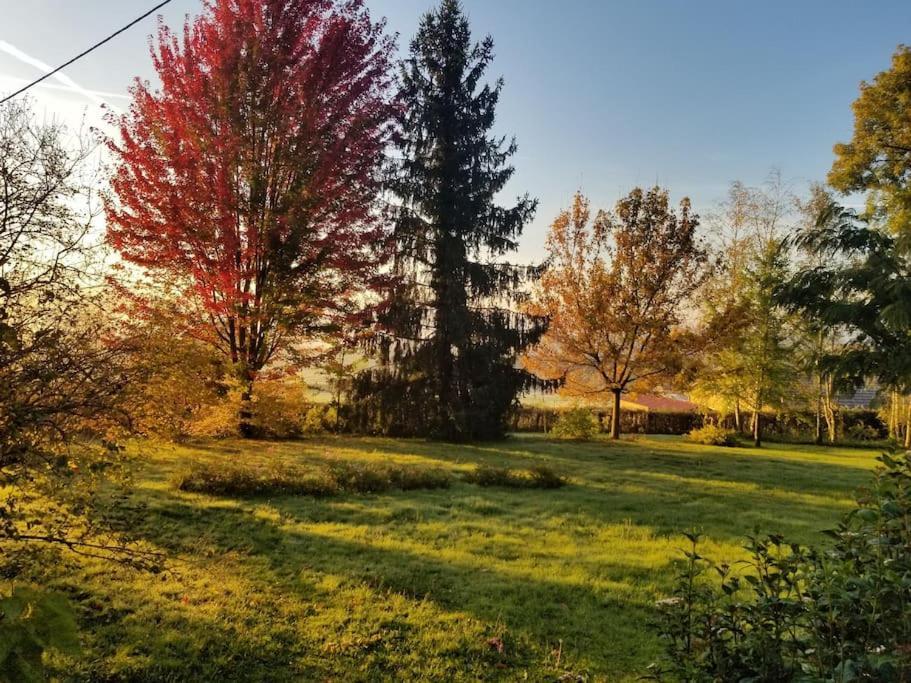 Gite Calme Et Cosy, Toutes Commodites Et Tourisme Vigny-les-Paray Exteriör bild
